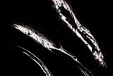 9.1.2010 Morteratschgletscher - Wei-schwarzes Mysterium.<br />- Die Farbeinspielungen sind in diesem Bild gnzlich verschwunden. Nichts, das nicht wei auf schwarz gezeichnet ist! Die farblosen Flchen sind auerordentlich klar und scharf gegeneinander abgegrenzt. Nicht von dieser Welt, so erscheint uns dieser Anblick! Das Wesen dieser rtselhaften Formen bleibt dem Betrachter verborgen.