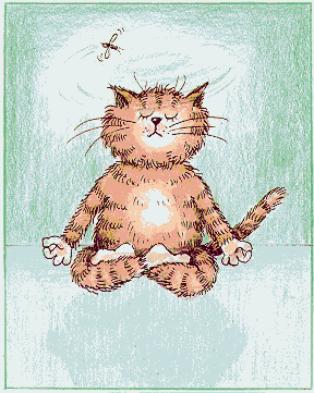 Meditation-Katze